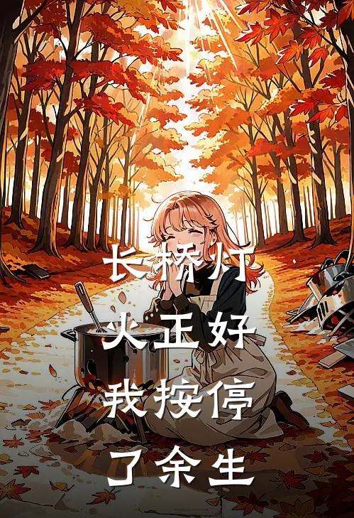 长桥灯火正好，我按停了余生