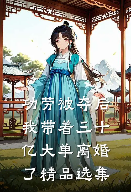 功劳被夺后，我带着三十亿大单离婚了精品选集