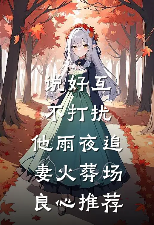 说好互不打扰，他雨夜追妻火葬场良心推荐