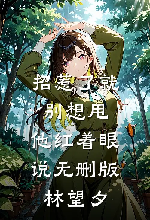 招惹了就别想甩，他红着眼说无删版林望夕