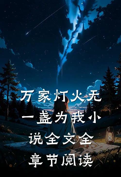 万家灯火无一盏为我小说全文全章节阅读