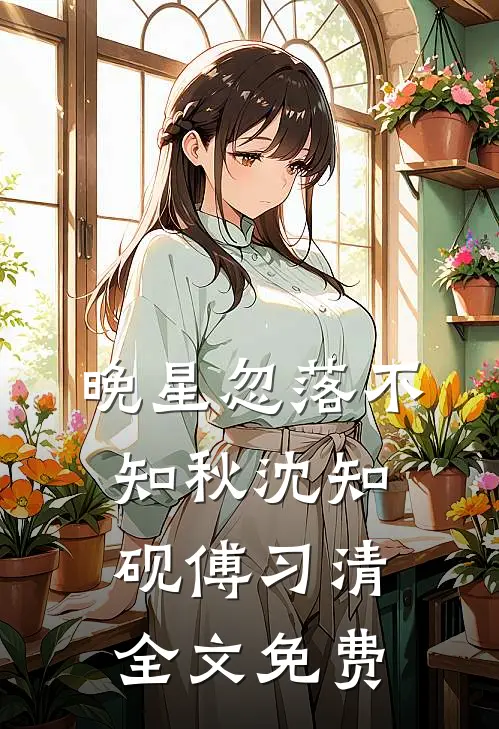 晚星忽落不知秋沈知砚傅习清全文免费
