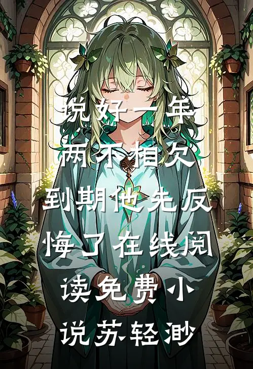 说好一年两不相欠,到期他先反悔了在线阅读免费小说苏轻渺