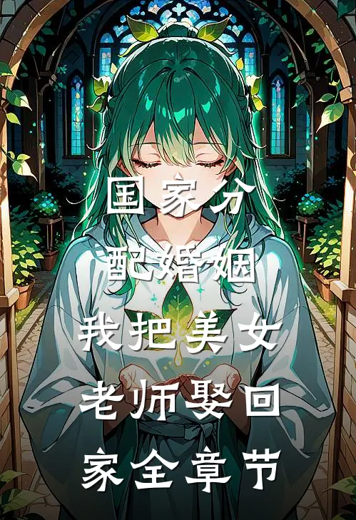 国家分配婚姻，我把美女老师娶回家全章节