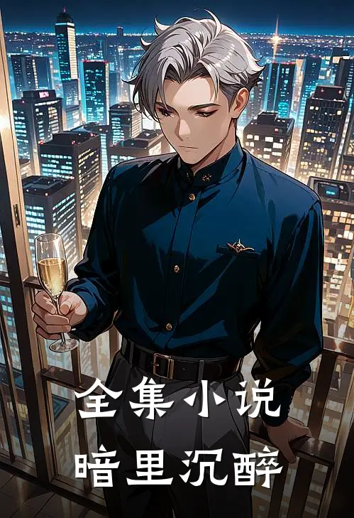 全集小说暗里沉醉