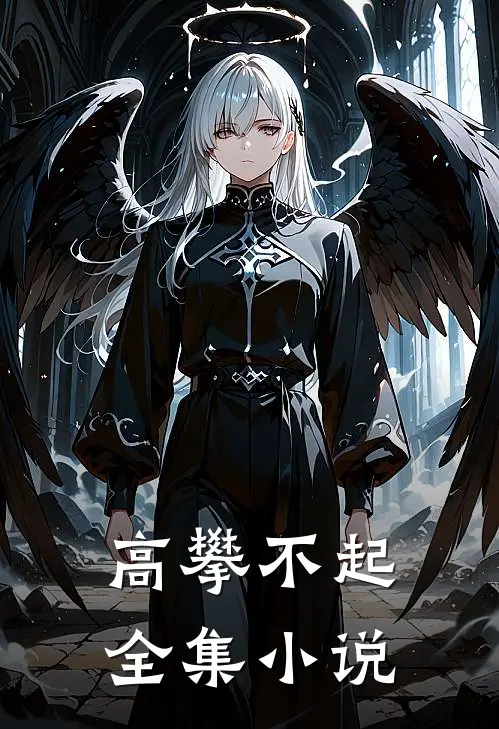 高攀不起全集小说