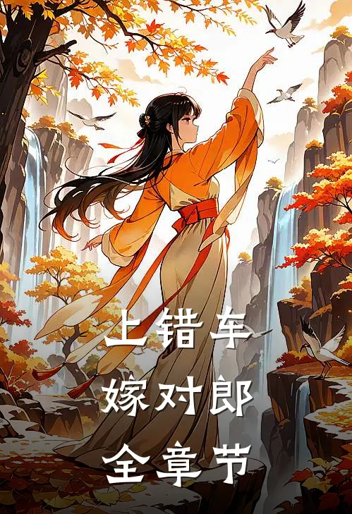 上错车，嫁对郎全章节