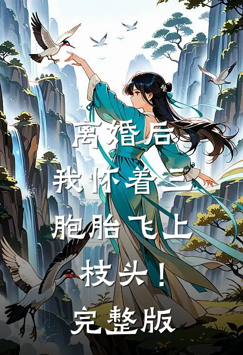离婚后，我怀着三胞胎飞上枝头！完整版