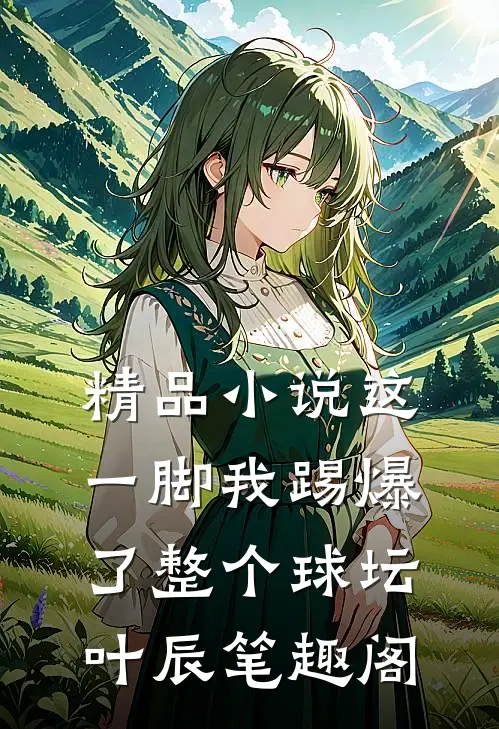精品小说这一脚我踢爆了整个球坛叶辰笔趣阁