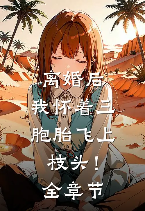 离婚后，我怀着三胞胎飞上枝头！全章节