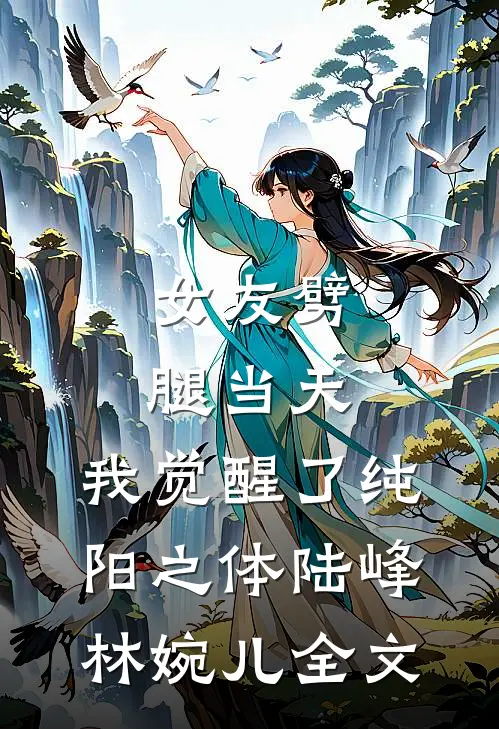 傅总，太太打掉孩子要离婚精品篇