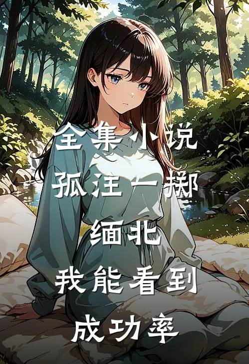 全集小说孤注一掷：缅北：我能看到成功率