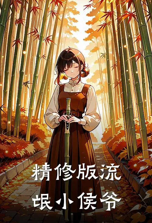 精修版流氓小侯爷