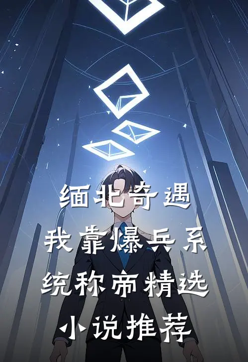 缅北奇遇：我靠爆兵系统称帝精选小说推荐