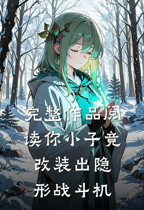完整作品阅读你小子竟改装出隐形战斗机
