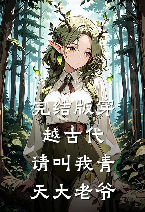 完结版穿越古代：请叫我青天大老爷