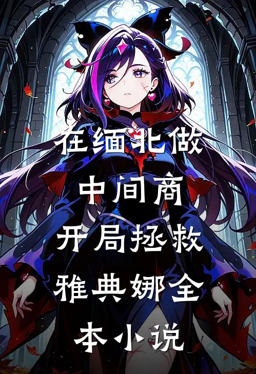 在缅北做中间商，开局拯救雅典娜全本小说