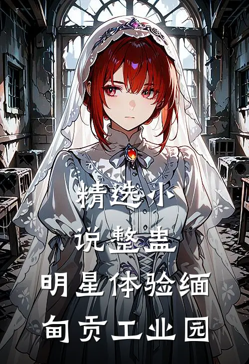 精选小说整蛊：明星体验缅甸贡工业园