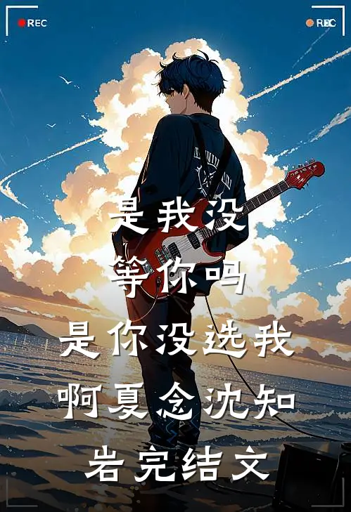 是我没等你吗，是你没选我啊夏念沈知岩完结文