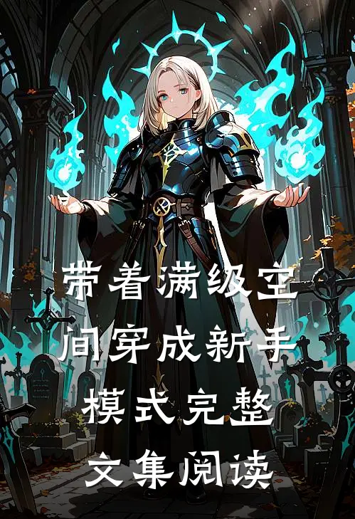 带着满级空间穿成新手模式完整文集阅读