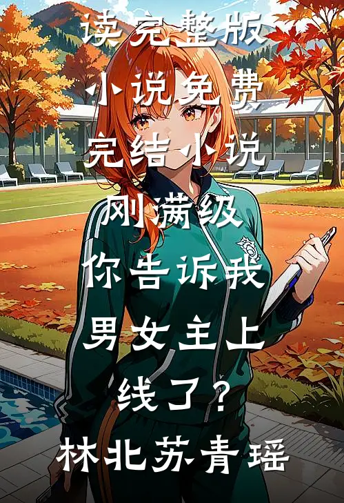 问心火爆小说
