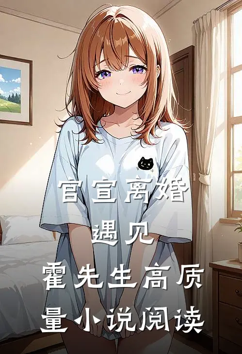 官宣离婚：遇见，霍先生高质量小说阅读