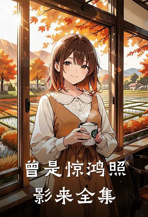 曾是惊鸿照影来全集