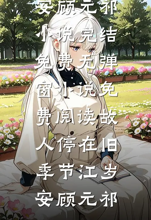 安检风波好书