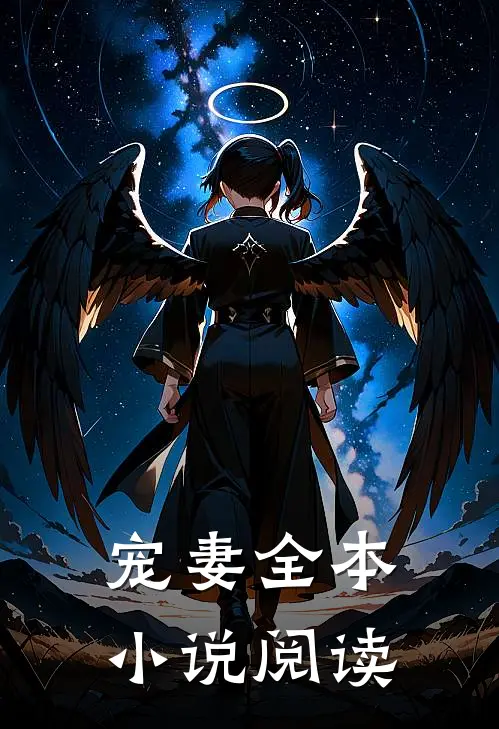 宠妻全本小说阅读