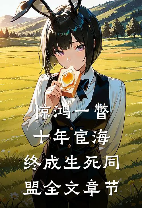 惊鸿一瞥：十年宦海，终成生死同盟全文章节