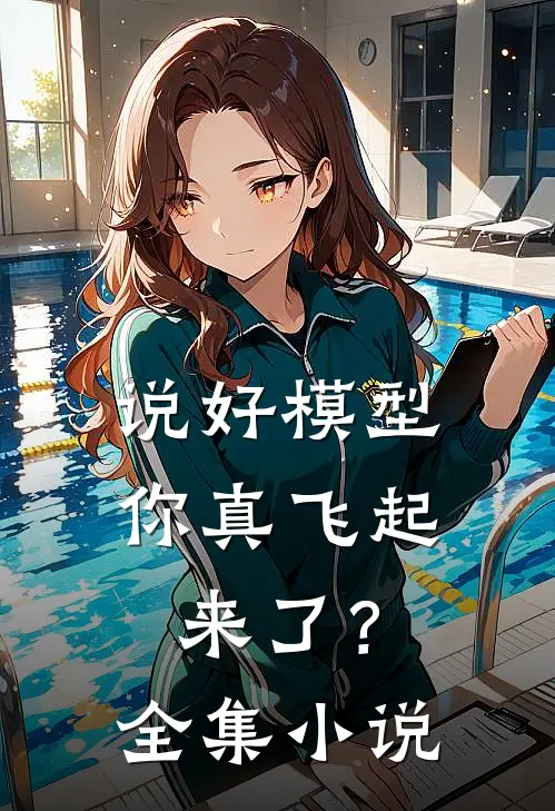 说好模型，你真飞起来了？全集小说