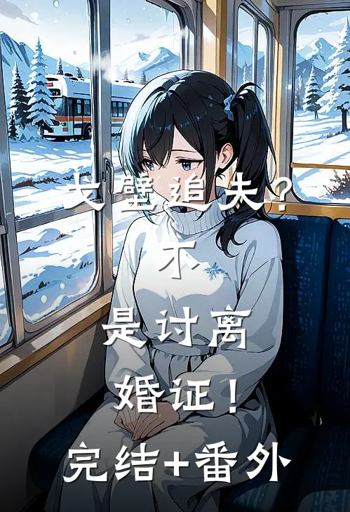 戈壁追夫？不，是讨离婚证！完结+番外