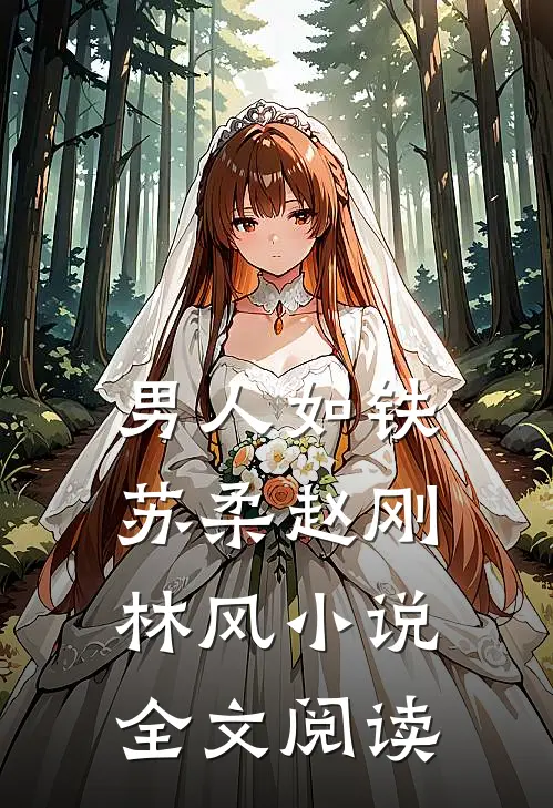 男人如铁 苏柔赵刚林风小说全文阅读