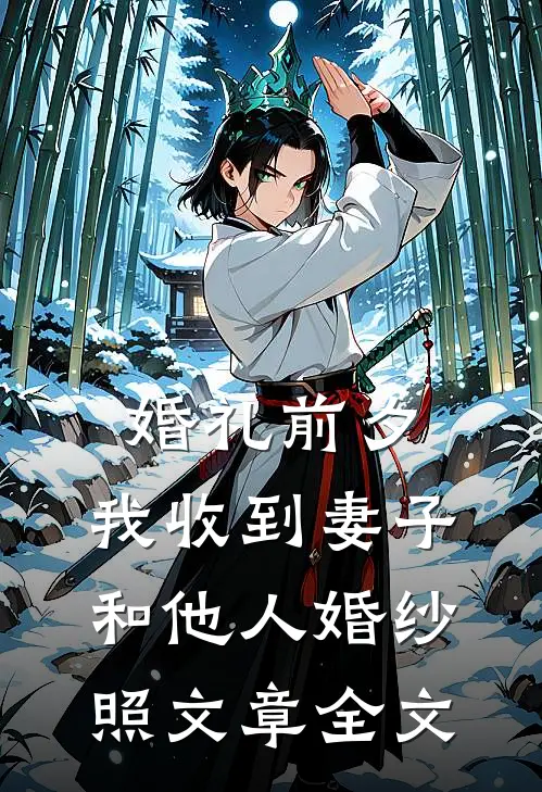 婚礼前夕，我收到妻子和他人婚纱照文章全文