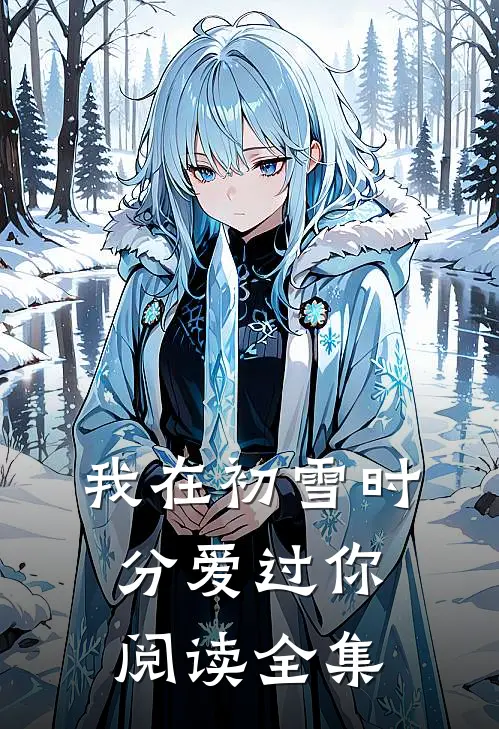 我在初雪时分爱过你阅读全集