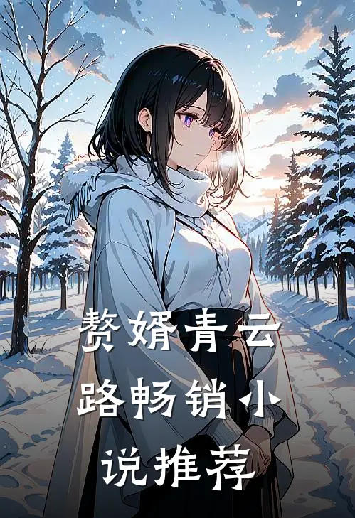 赘婿青云路畅销小说推荐
