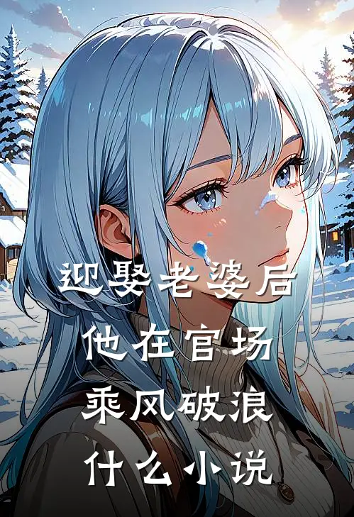 迎娶老婆后，他在官场乘风破浪什么小说