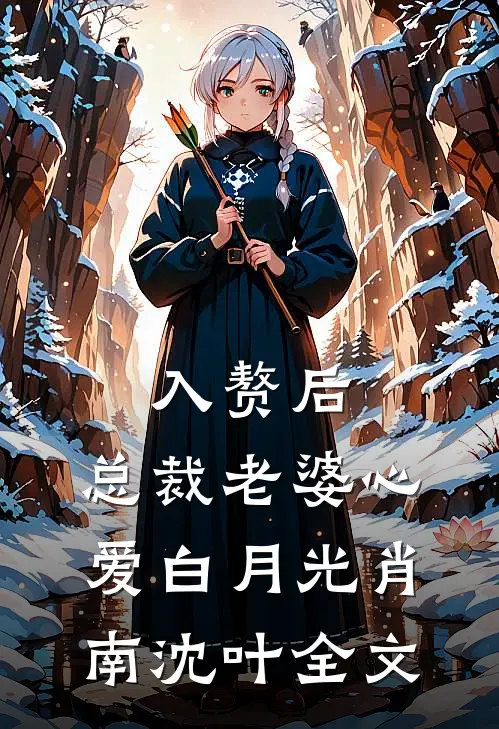 入赘后，总裁老婆心爱白月光肖南沈叶全文