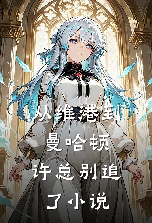 从维港到曼哈顿，许总别追了小说