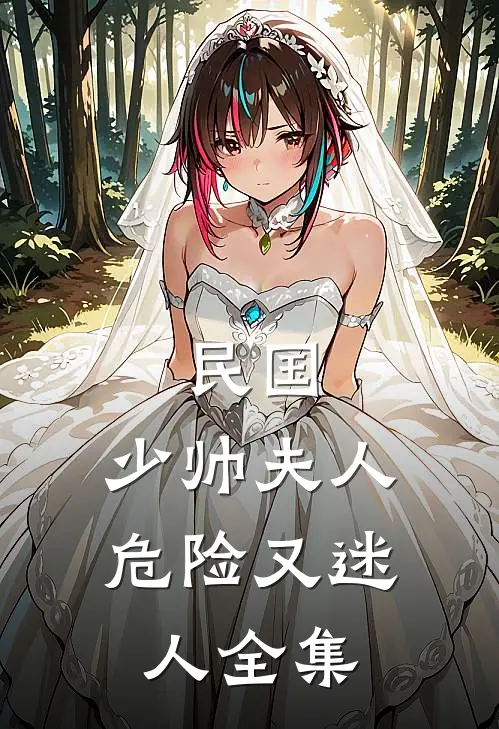 民国：少帅夫人危险又迷人全集