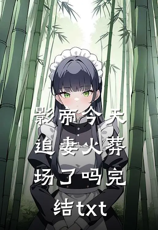 影帝今天追妻火葬场了吗完结txt