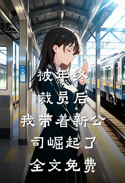 被年终裁员后，我带着新公司崛起了全文免费