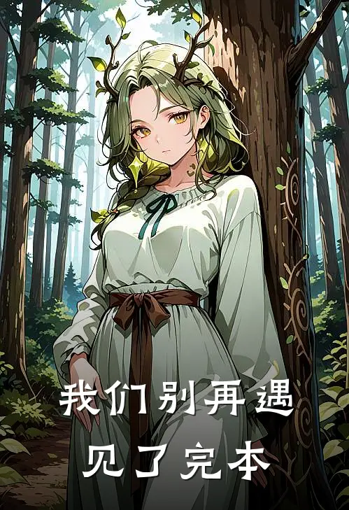 我们别再遇见了完本