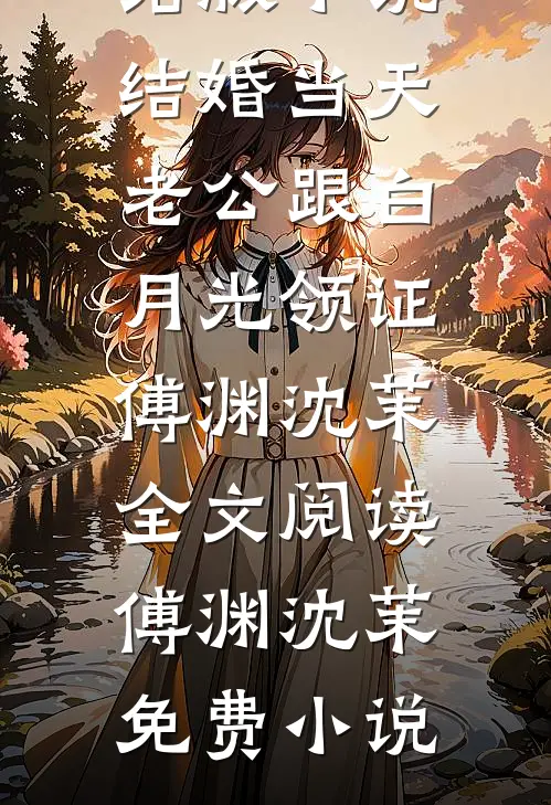 结婚当天老公跟白月光领证完结版小说_结婚当天老公跟白月光领证傅渊沈茉全文阅读