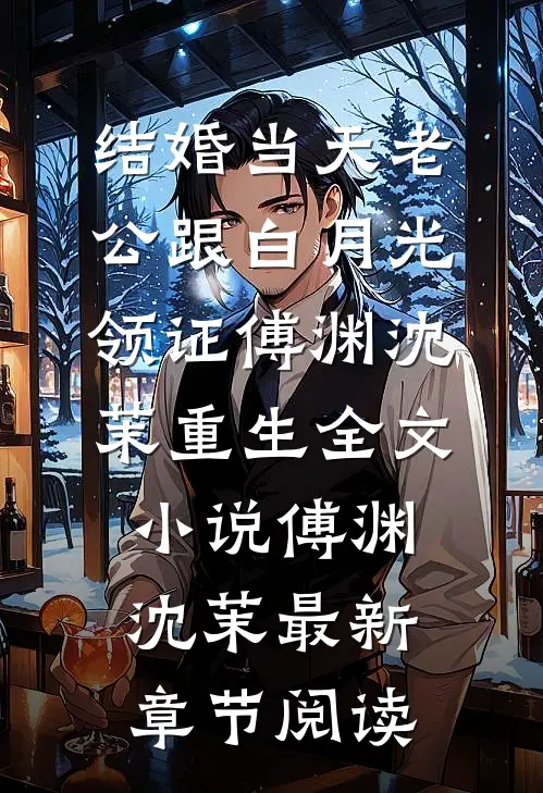 结婚当天老公跟白月光领证傅渊沈茉重生全文小说傅渊沈茉最新章节阅读
