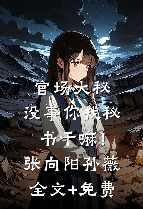 官场大秘：没事你找秘书干嘛！张向阳孙薇全文+免费
