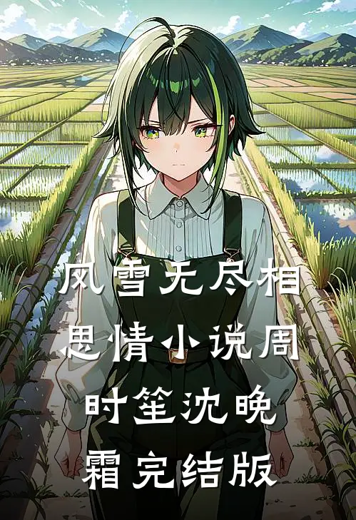 风雪无尽相思情小说周时笙沈晚霜完结版