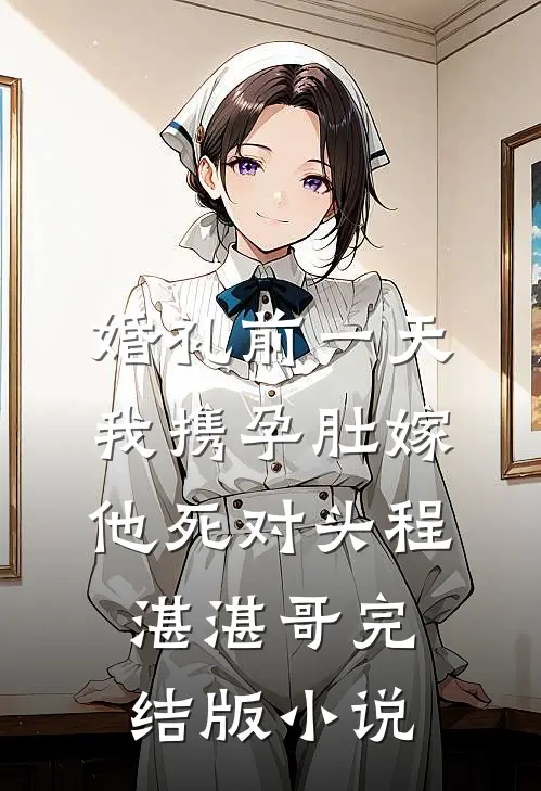婚礼前一天，我携孕肚嫁他死对头程湛湛哥完结版小说
