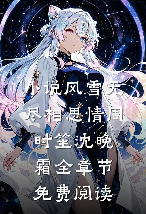 小说风雪无尽相思情周时笙沈晚霜全章节免费阅读