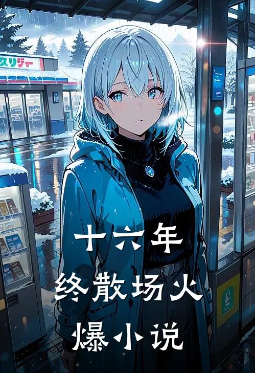 十六年，终散场火爆小说